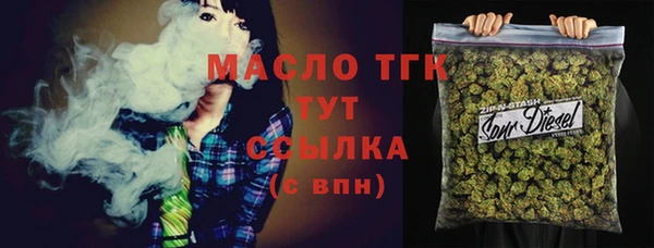 МДПВ Карпинск