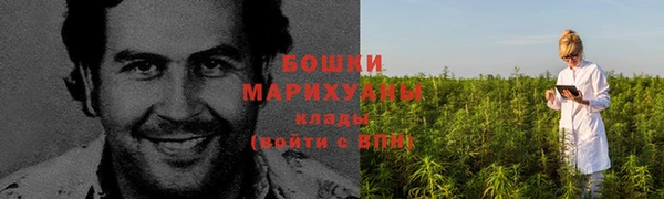 шишки Касимов