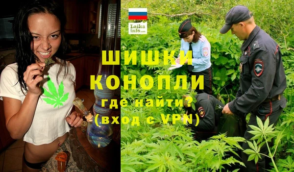 МДПВ Карпинск