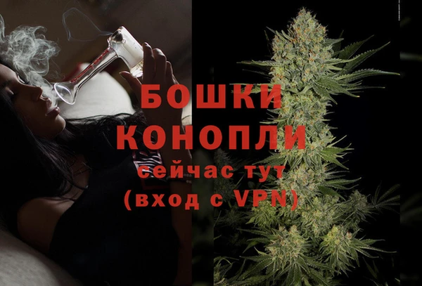 МДПВ Карпинск