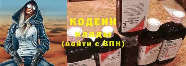МДПВ Карпинск